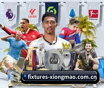 fixtures-xiongmao.com.cn APP
